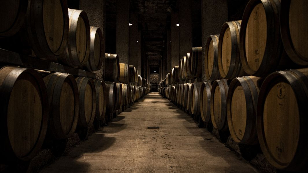 view-empty-way-dozens-wooden-casks-sides_result
